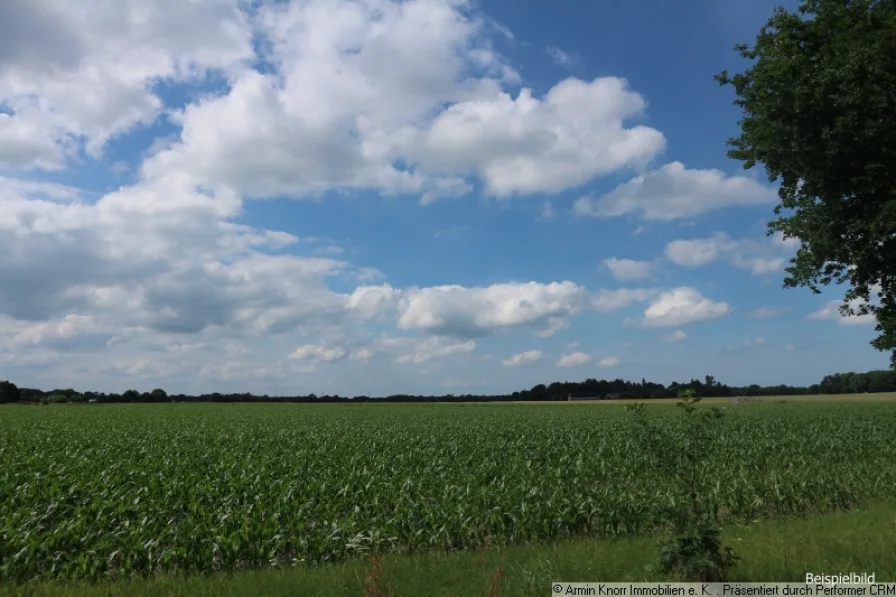 Beispielfoto - Grundstück kaufen in Bad Zwischenahn - Ca. 6.400 m² Landwirtschaftliche Nutzfläche in der Gemeinde Petersfehn/ Landkreis Ammerland