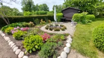 Garten im Sommer 