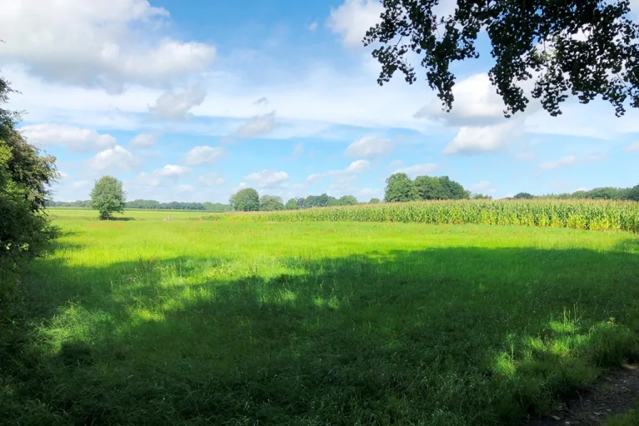 IMG_5490 - Grundstück kaufen in Cloppenburg - Landwirtschaftliche Fläche in Randlage von Cloppenburg
