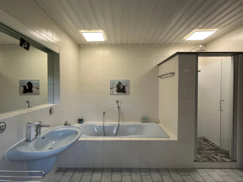 Tageslichtbad mit Dusche und Wanne
