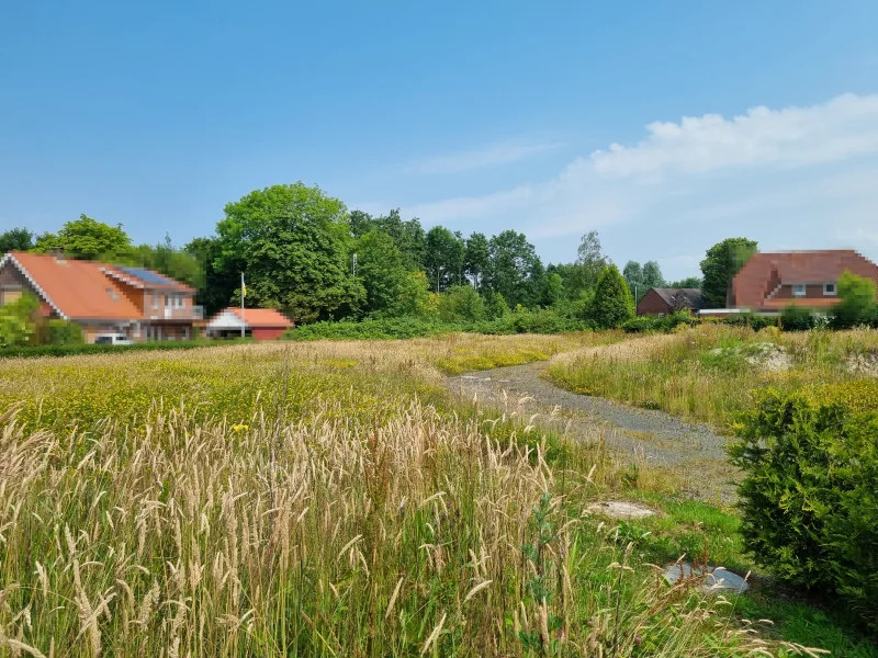 Stichstraße Richtung Norden