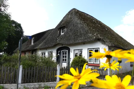 Hausansicht - Haus kaufen in Stapel - Charmantes Reetdachhaus in Stapel zu verkaufen