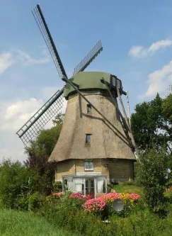 Mühlenansicht - Haus kaufen in Bergenhusen - Windmühle "Gisela" in absoluter Alleinlage in Meggerdorf/Bergenhusen zu verkaufen