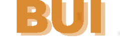 Logo von BUI Unternehmensberatung & Immobilien Dipl.-Ökonom Dirk-Oliver Borcherding