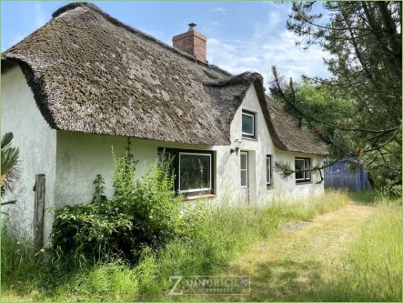 Ansicht - Haus kaufen in Sankt Peter-Ording - Großes Grundstück mit Reetdachkate mitten in St.Peter-Ording