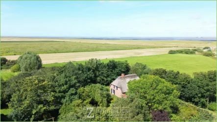 Blick von oben - Haus kaufen in Tümlauer-Koog - Wohnen unter Reet mit Seltenheitswert**