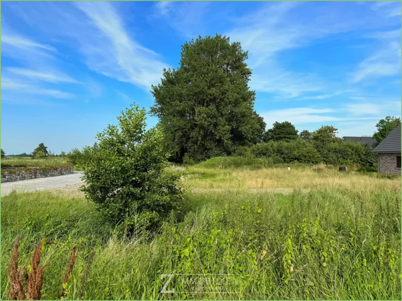 Nördlicher Blick