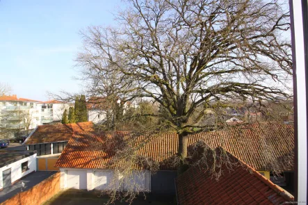 Blick vom Wohnzimmer - Wohnung mieten in Gifhorn - 3 Zi.-Dachgeschosswohnung - direkte Nähe zur Gifhorner Fußgängerzone