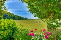 Sommer - Blick aufs Feld