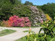 RHODODENDRONPARK