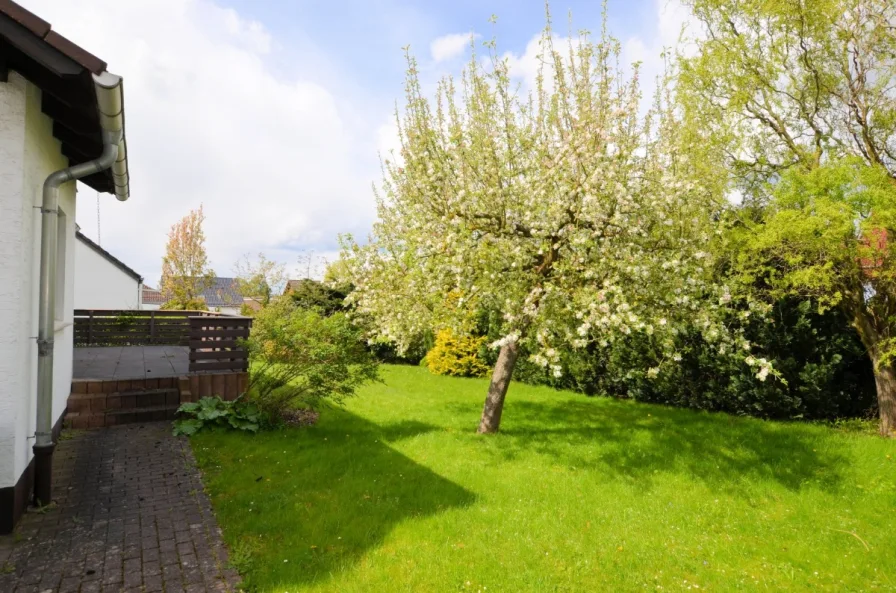 1-Familienwohnhaus mit Garage in Holzminden - Wohnhaus mit Garage