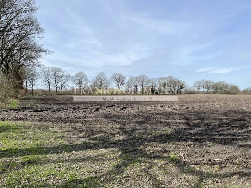Titelbild - Grundstück kaufen in Henstedt-Ulzburg - Landwirtschaftliche Fläche In Henstedt-Ulzburg