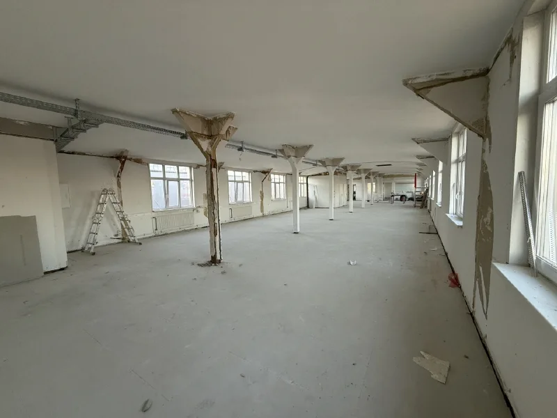 LOFT IV