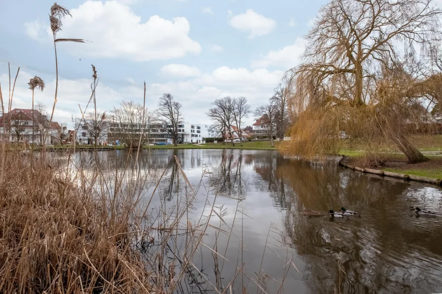 ein Teich im Godewindpark