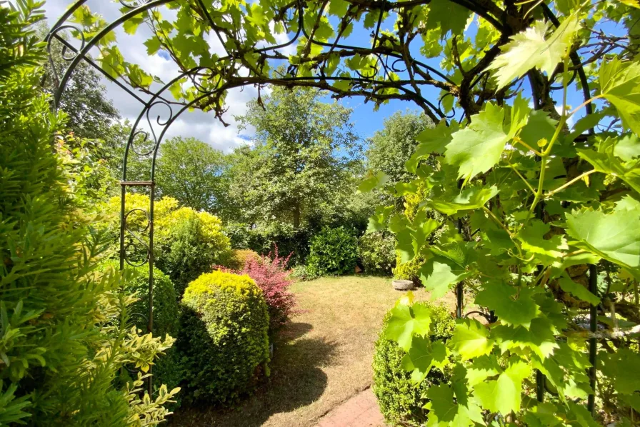 Blick in den Garten