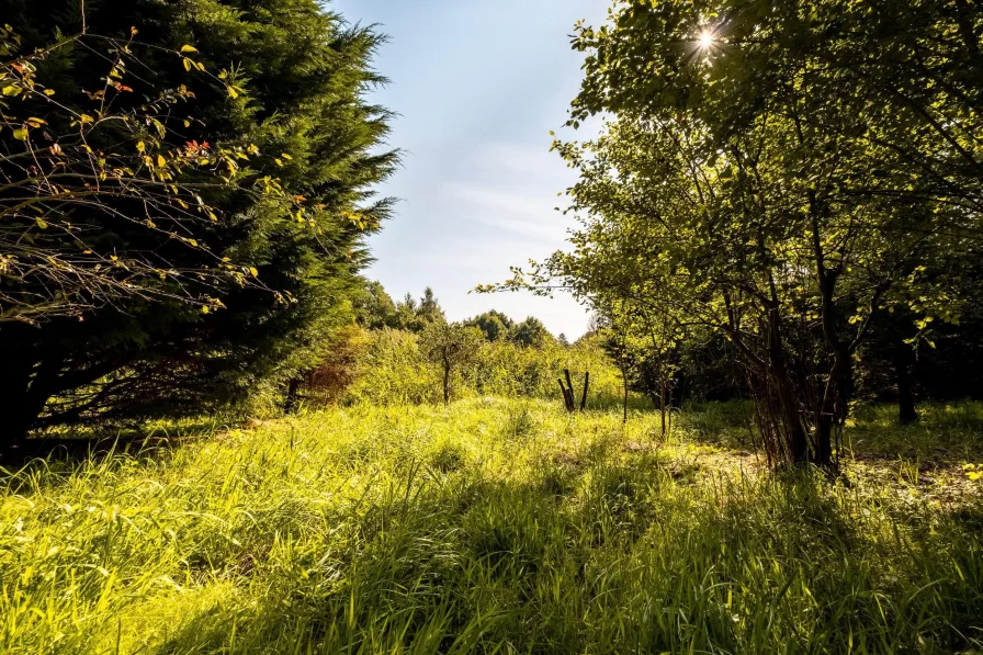 Garten zur Clever Au