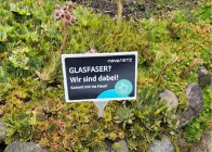 Glasfaser