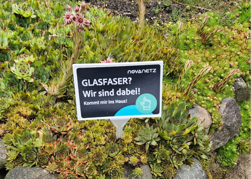 Glasfaser