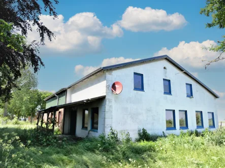 Seitenansicht - Haus kaufen in Friedrichskoog - Resthof in schöner Deichlageim Nordseebad Friedrichskoog