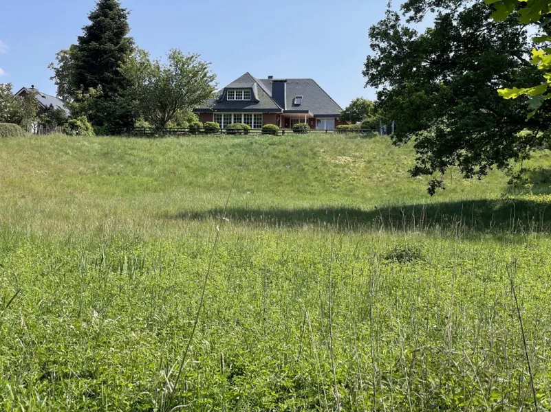 Blick vom Ende des Grundstücks