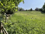 Holzgatterblick aufs Haus