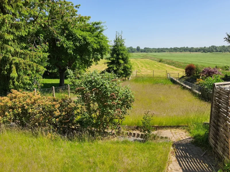 Blick in den Garten