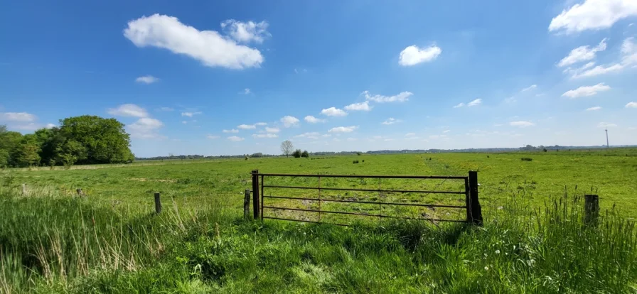 Blick über Felder