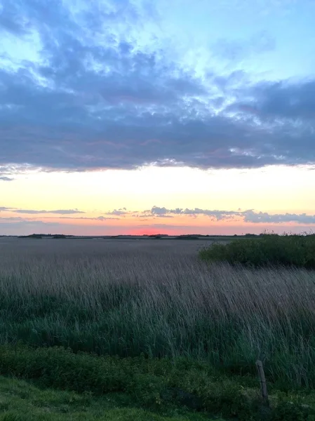 Typisches Landschaftsbild 