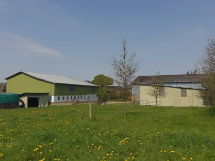 Rückansicht - Haus kaufen in Sarzbüttel - Gesucht und gefunden "Pferdehaltung möglich"