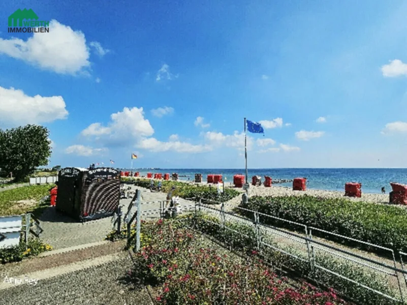 Strandkörbe und DLRG