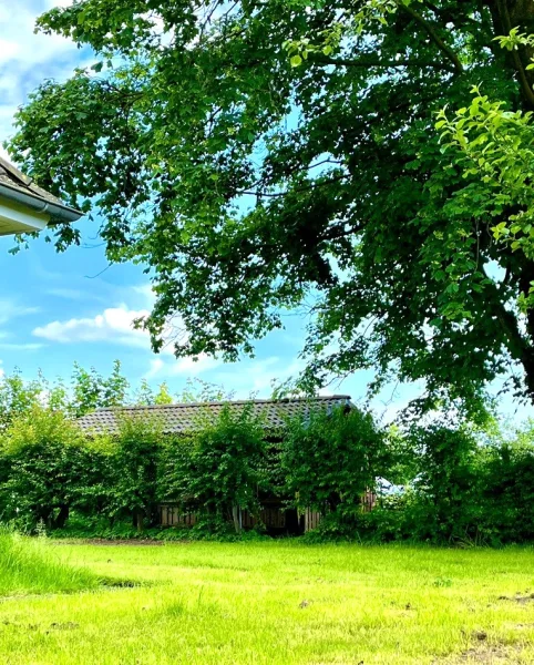 Garten mit Blick auf den Carport