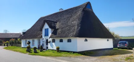  - Haus kaufen in Sankt Annen - hyggelige Reetdachkate mit Fernwärme auf großem Grundstück in der Nähe zur Eider und Nordsee