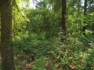 Zum Grundstück gehörender Wald