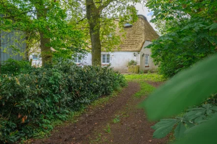 Auffahrt des Hauses - Haus kaufen in Hollingstedt - PROVISIONSFREI FÜR DEN KÄUFER! Resthof mit viel Potential nahe der Eider!