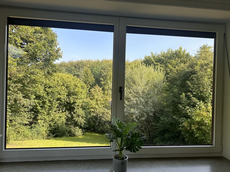 Blick aus dem Fenster im Wohnzimmer 