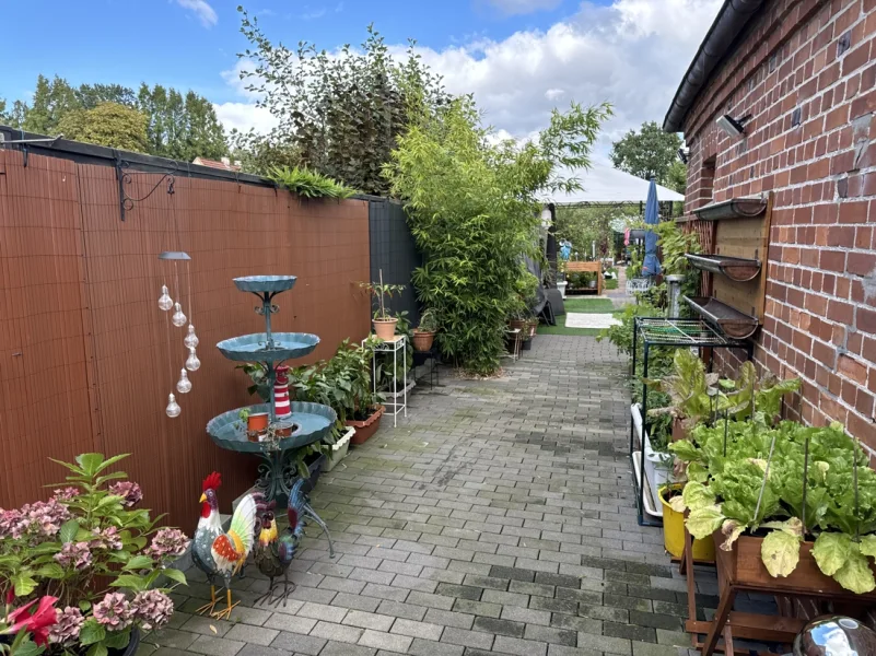 Blick in den Garten