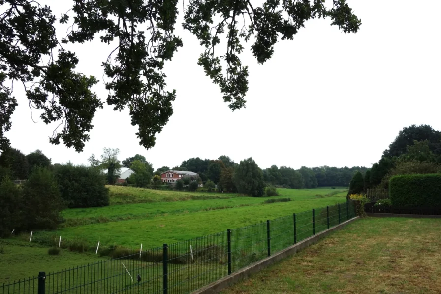 Ausblick Garten