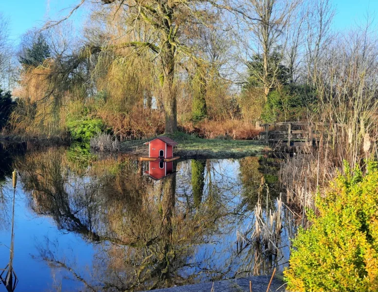 Gartenteich mit Entenhaus