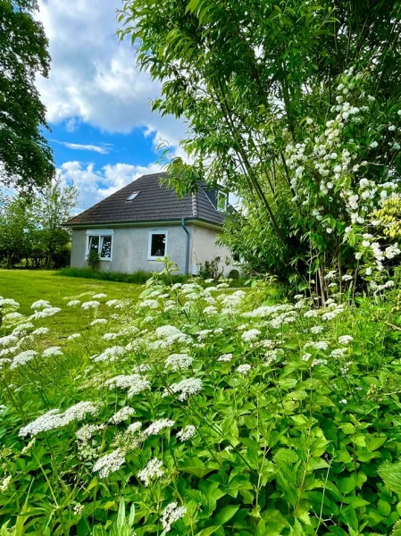  Einfamilienhaus für die kleine Familie im Herzen von Niebüll - Haus kaufen in Niebüll - Kleines Haus - große Chance - sichern Sie sich noch in diesem Jahr durch einen derzeit niedrigen Zinssatz dieses sofort einzugsbereite Haus