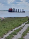 Blick auf die Elbe