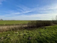 Ihr Ausblick aus dem Garten