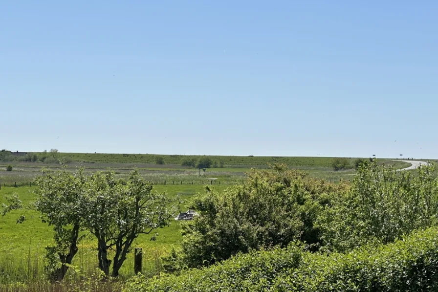 Weitblick zum Nordseedeich