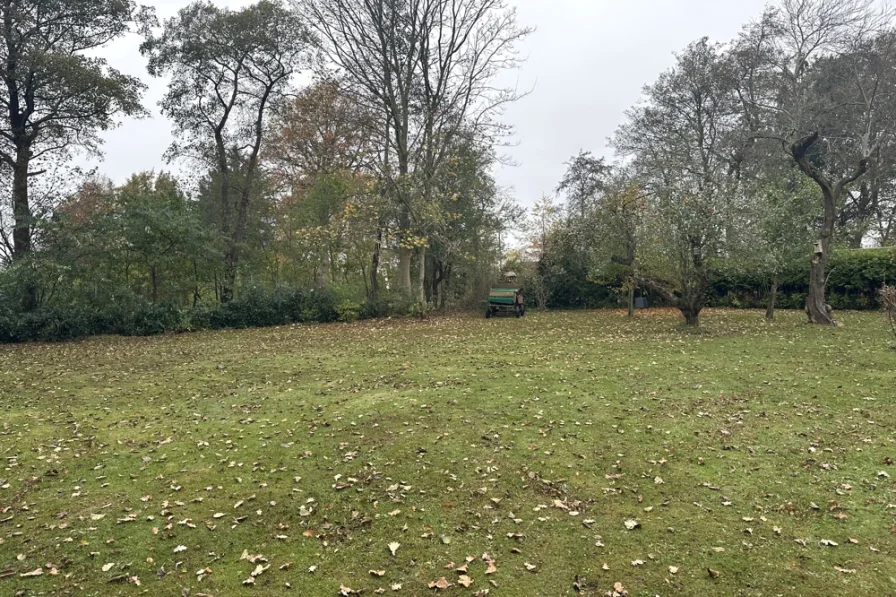 eingezäunter Garten nach Westen