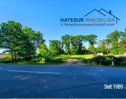 Titelbild - Grundstück kaufen in Eystrup - Schönes Eckgrundstück am Hämelsee zu verkaufen