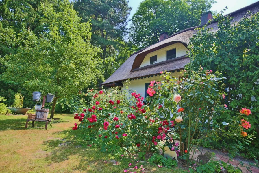 schöner Rosengarten