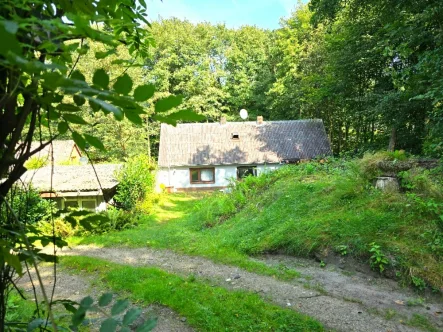 Ansicht/ Waldweg - Haus kaufen in Husum - **Seltene Waldrandlage für Naturliebhaber**