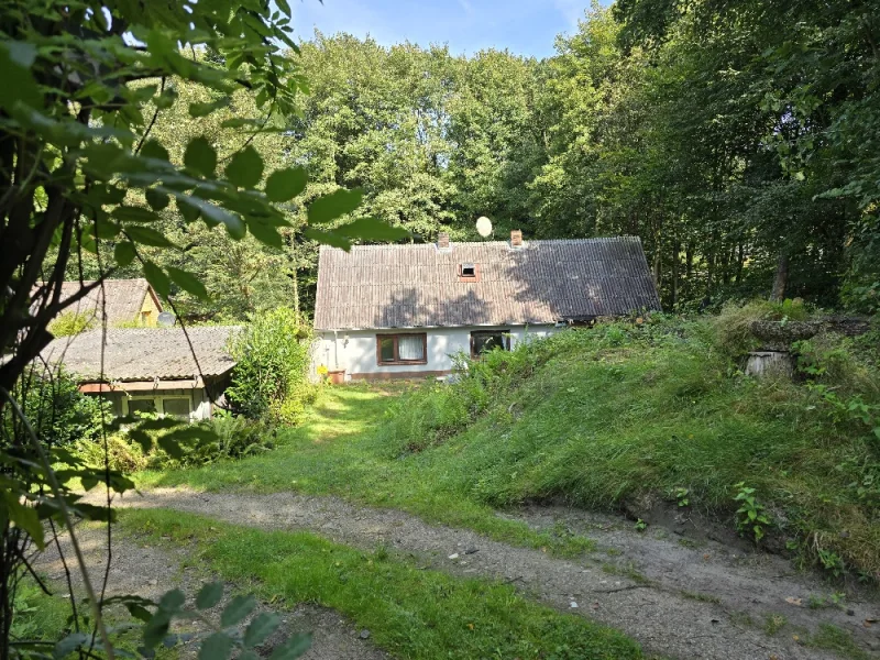 Ansicht/ Waldweg - Haus kaufen in Husum - **Seltene Waldrandlage für Naturliebhaber**