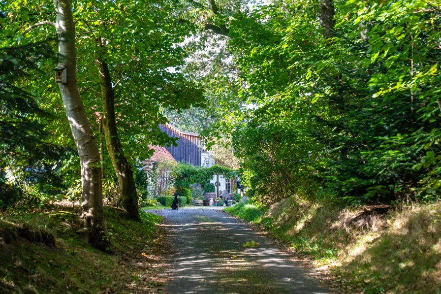 Allee - Haus kaufen in Högel - **Traumhaftes Anwesen mit unbegrenzten Möglichkeiten**