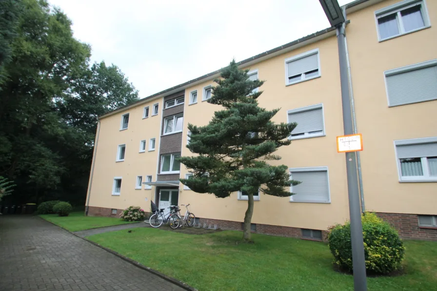 Hauseingang - Wohnung kaufen in Osnabrück - Charmante 4-Raum-ETW in ruhiger Lage am Kalkhügel