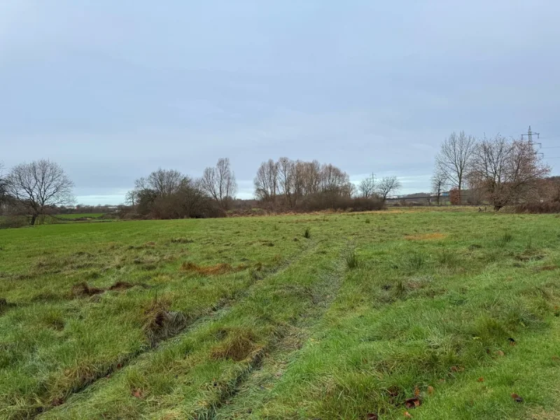 Wiese - Grundstück kaufen in Wersen - Wiese 2 in Lotte / Wersen